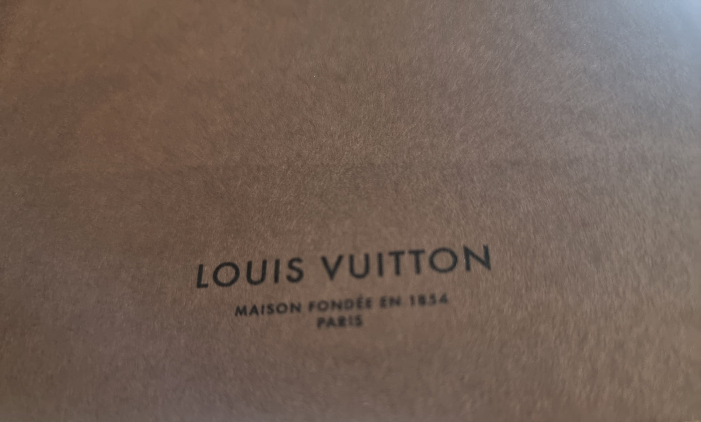 Louis Vuitton city guide book
