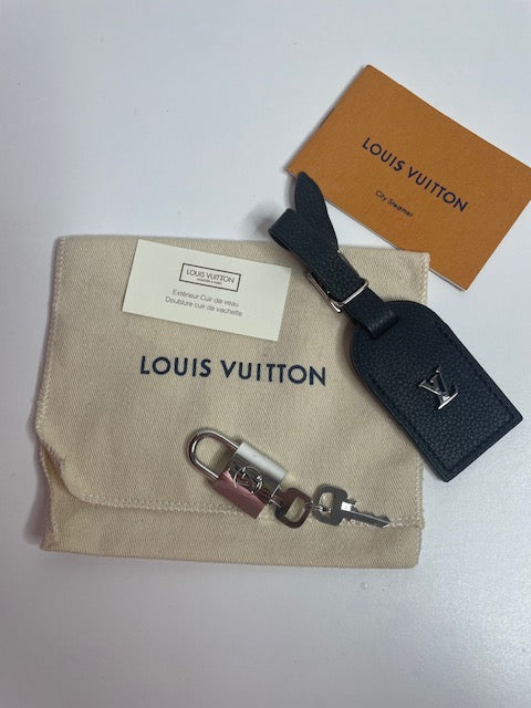 Louis Vuitton City Steamer